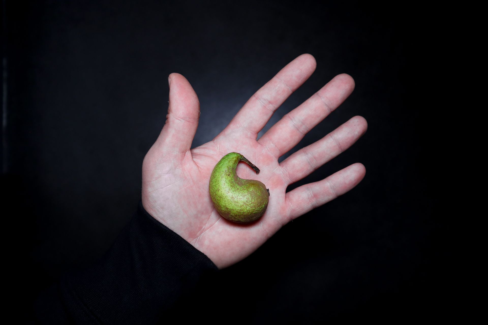 [PearsForTears_1] Pears for Tears 